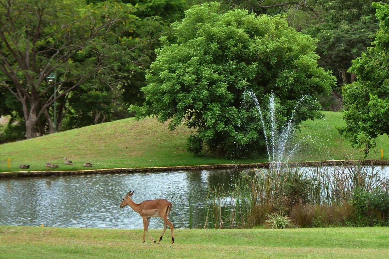 Kruger Park Lodge Unit No. 543 Hazyview Eksteriør bilde